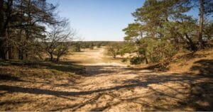 Bank reinigen Nunspeet