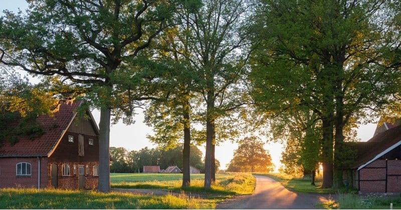 bank reinigen Oldenzaal