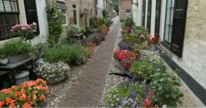 Bank reinigen Elburg