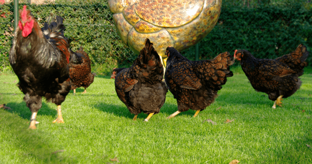 Bank reinigen Barneveld