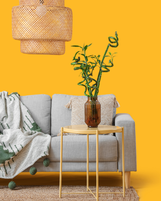 Home 8 Homepage Vlekkenkoning